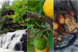 ​Lənkəranın ləvəngisi, Astaranın çayı, Lerikin təmiz balı - CƏNUB TURİZMİNİN ÜSTÜNLÜKLƏRİ