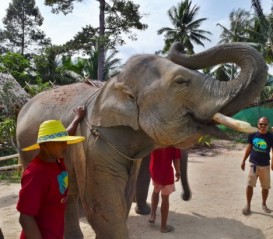 Tailandın inciləri – Samui və Banqkok adaları