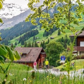 Həftə sonu istədiyiniz istiqamətdə Ölkə daxili turlar - QİYMƏTLƏR