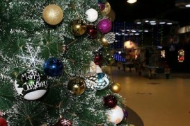 Şəmkirdə Yeni İl kampaniyası – QİYMƏTLƏR