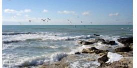 Nazirlik 19 istirahət mərkəzini məhkəməyə verib - SİYAHI