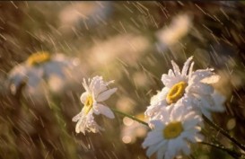 Sabahın havası - Yağış yağacaq