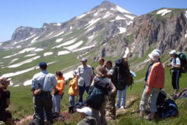 Azərbaycanın turizm sektorunda - Yeni Assosiasiya Yaradılıb