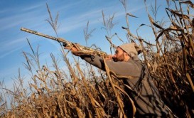 Ovlanmasına icazə verilən heyvanların SİYAHISI AÇIQLANDI