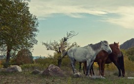 Azərbaycanın əlçatmaz gözəllikləri... - Fotolarda
