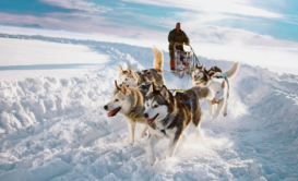 Laplandiyada qış nağılı - SƏYAHƏT VƏ GÖZƏL FOTOLAR