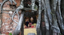 Ağac kökü ilə əhatələnən 400 yaşlı məbəd - FOTO