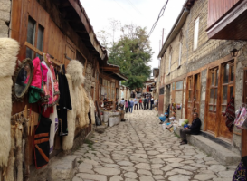 Azərbaycanda turizm polisi yaradılsın - TƏKLİF