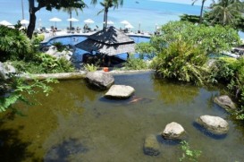 Aeroportda furşet,səhər yeməyi üçün kokos - TAİLAND