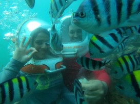 Əsrarəngiz Bali - ŞƏXSİ TƏCRÜBƏ