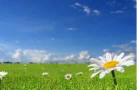 37 dərəcə isti olacaq - HAVA PROQNOZU