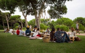 Baklda yeni piknik zonaları yaradilacaq