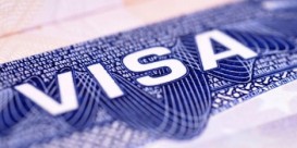 Sürətləndirilmiş elektron viza müraciəti neçə saata cavablandırılacaq?