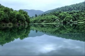 Qubada festival keçiriləcək - MƏTBƏX FESTİVALI