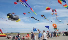 Cocuq Mərcanlıda “Uçurtma şənliyi” keçiriləcək – MƏTBUATA DƏVƏT