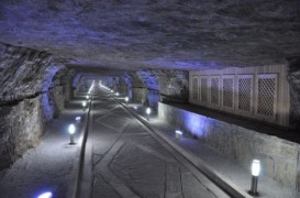 Harada müalicə daha sərfəlidir: DUZDAĞ, yoxsa KARLOVI VARI?