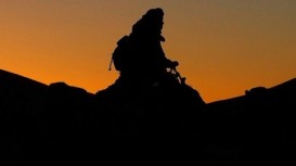 Sahara səhrasının əsrarəngiz həyatı 