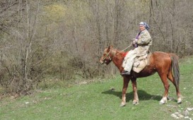 Azərbaycanda yeganə qadın meşəbəyi