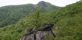 Milli parklara səfər edən turistlərin sayı - AÇIQLANDI