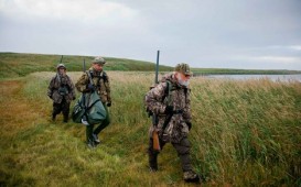 Ov heyvanlarını satanlar vergi ödəyəcək