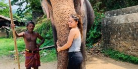 Hind okeanının incisi – Şri-Lanka - ŞƏXSİ TƏCRÜBƏ