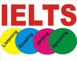 Çexiyada İELST lazım olmadan ali təhsil - QİYMƏTLƏR