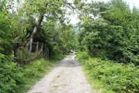 Kənd evi-100 Qax rayonu Çinarlı kəndi