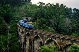 Şri Lanka turu - QİYMƏT