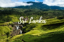 Şri Lanka turu - QİYMƏT