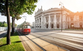 Vienna turu - QİYMƏT