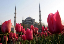 İstanbul turu - QİYMƏT