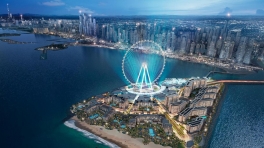 Dubay turu - QİYMƏT