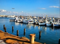 Kipr Larnaca turu - QİYMƏT