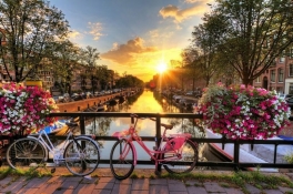Berlin - Amsterdam turu - QİYMƏT